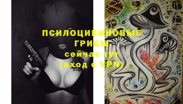 дмт Алексин