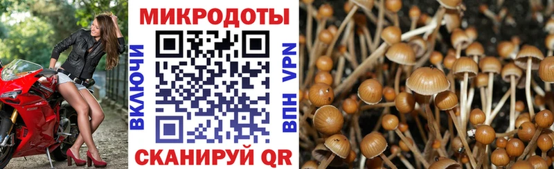 Галлюциногенные грибы ЛСД  это состав  Ува  мега онион 